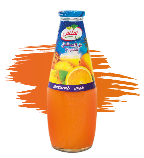 Tropical Meyve Suyu 250Ml Tropical Meyve Suyu 250Ml